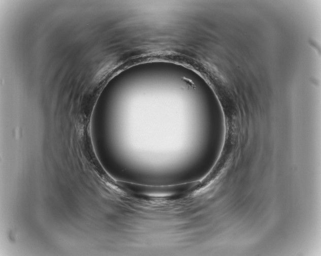 X0000099431257200805091242