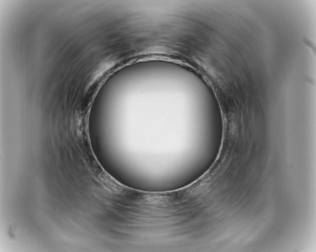 X0000099431258200805091242