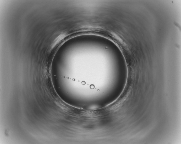 X0000099431259200805091242