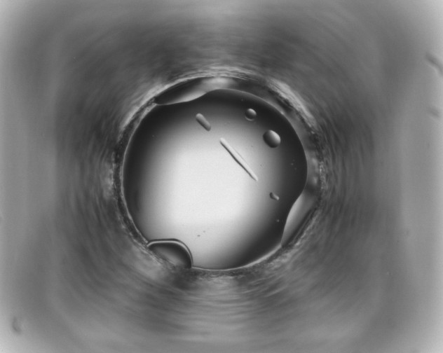 X0000099431260200805091242
