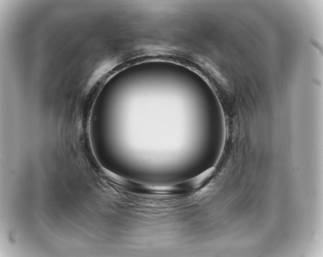 X0000099431261200805091242