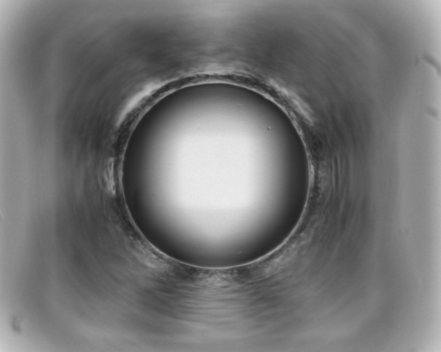 X0000099431262200805091242