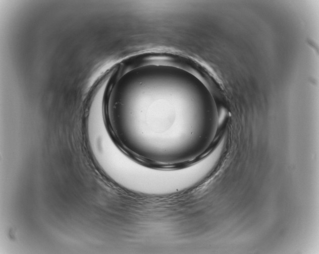 X0000099431263200805091242