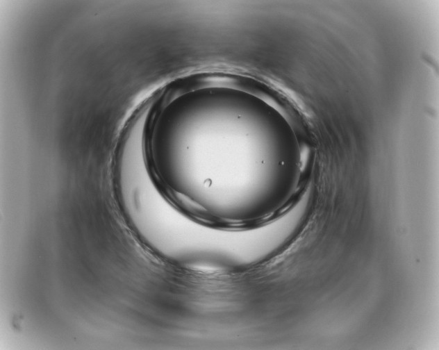 X0000099431264200805091242
