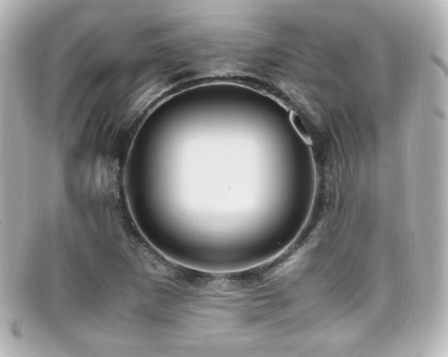 X0000099431265200805091242