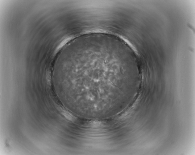 X0000099431266200805091242