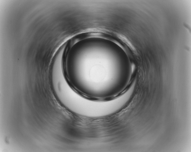 X0000099431268200805091242
