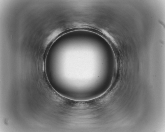 X0000099431269200805091242