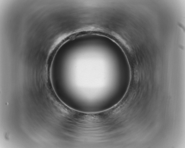 X0000099431270200805091242