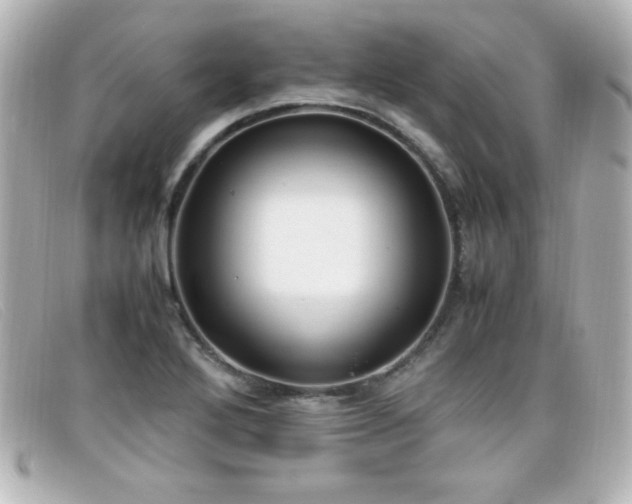 X0000099431272200805091242
