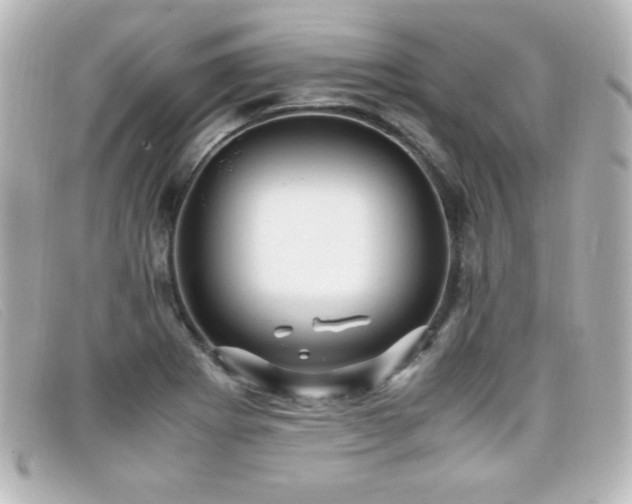 X0000099431273200805091242