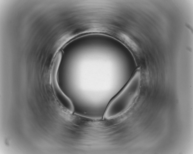 X0000099431276200805091242