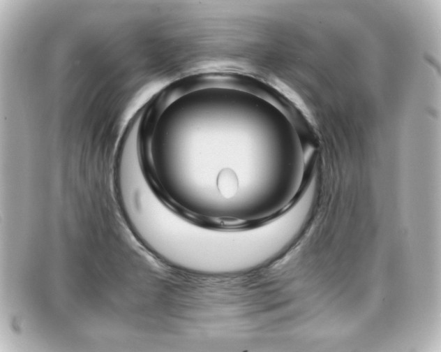 X0000099431277200805091242
