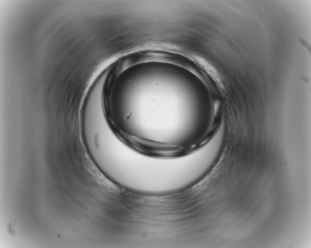 X0000099431280200805091242