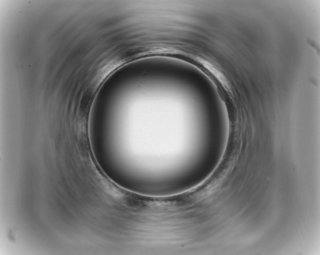 X0000099431281200805091242