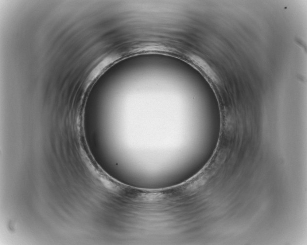 X0000099431282200805091242
