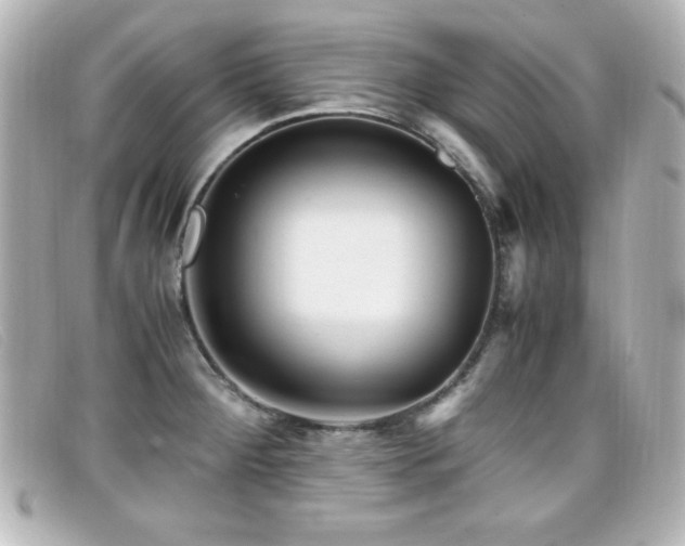 X0000099431284200805091242