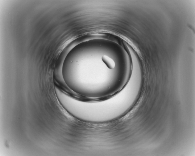X0000099431289200805091242