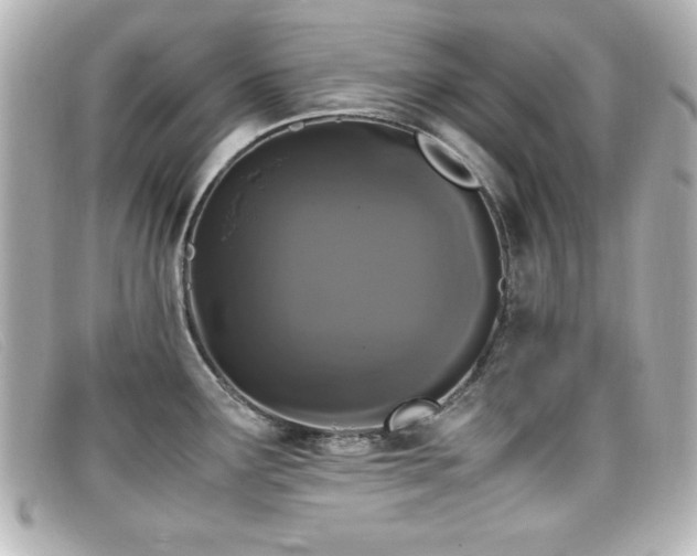 X0000099431291200805091242