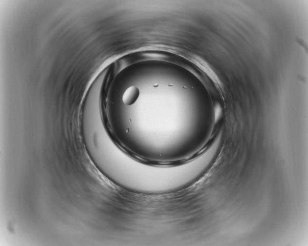 X0000099431292200805091242
