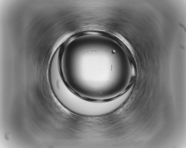X0000099431293200805091242
