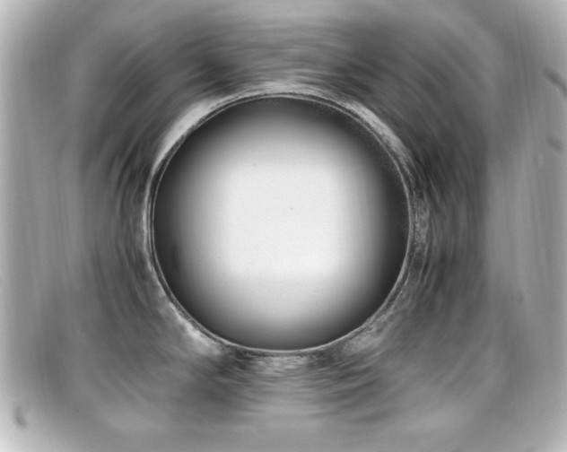 X0000099431294200805091242