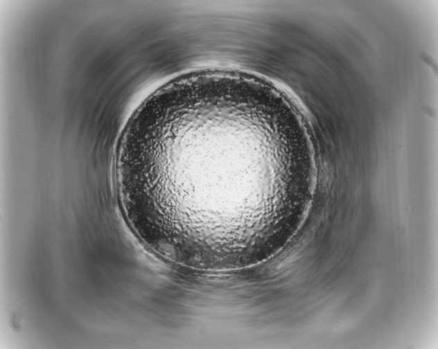 X0000099431295200805091242