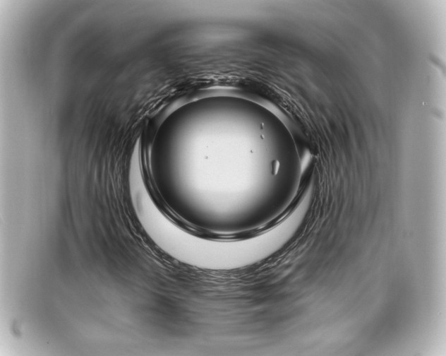 X0000099431298200805091241