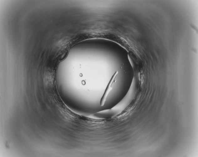 X0000099431300200805091241
