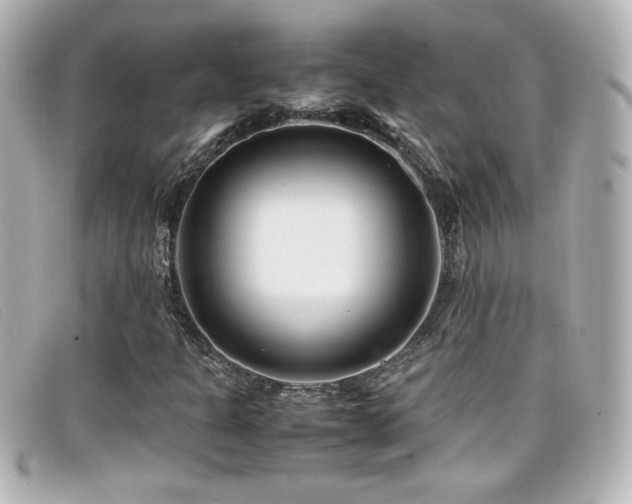 X0000099431301200805091241