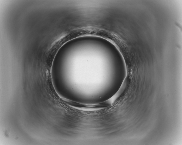 X0000099431302200805091241