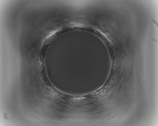 X0000099431303200805091241