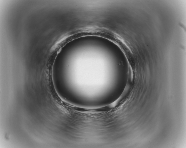 X0000099431304200805091241
