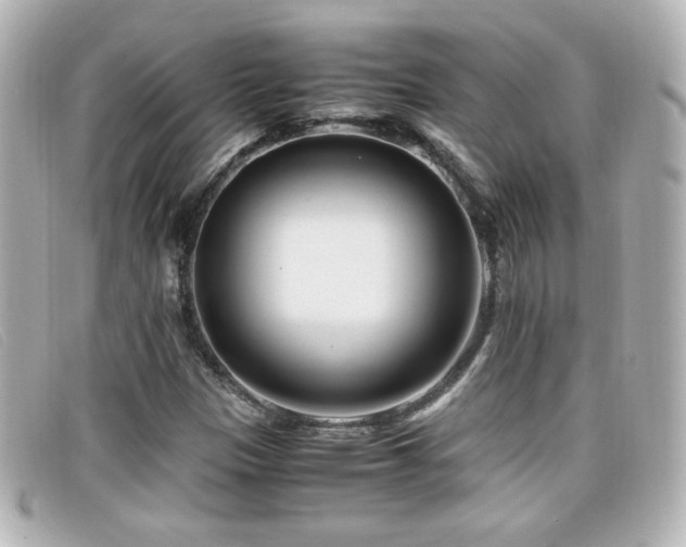 X0000099431305200805091241