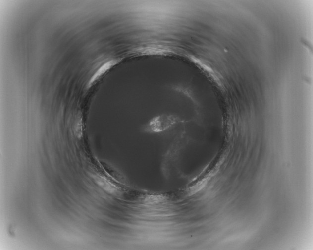 X0000099431306200805091241