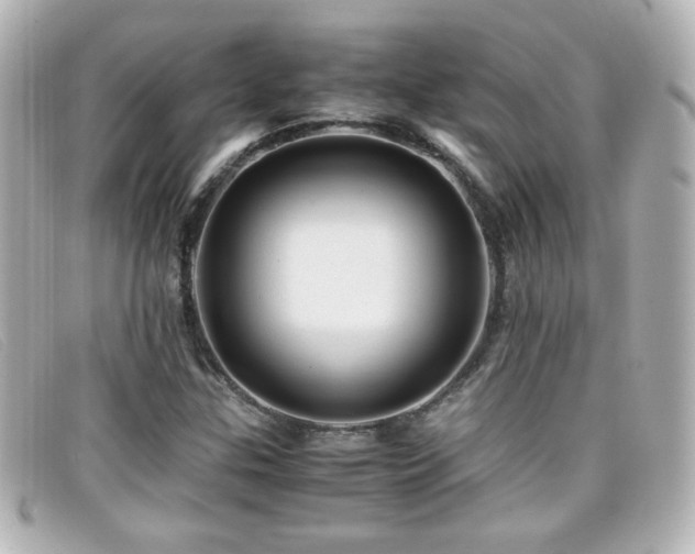 X0000099431307200805091241