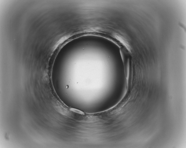 X0000099431308200805091241