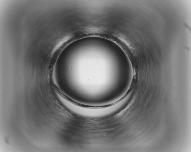 X0000099431309200805091241