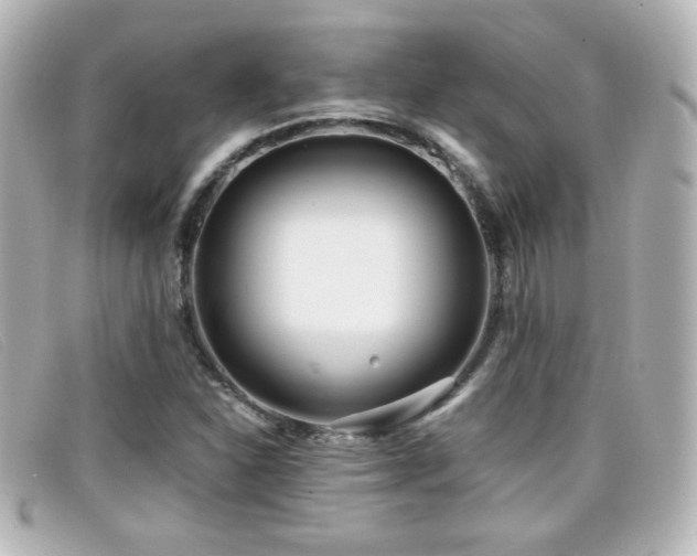 X0000099431310200805091241