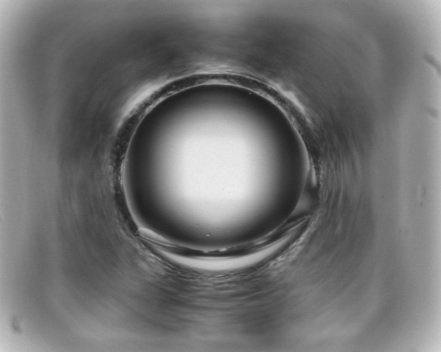 X0000099431311200805091241