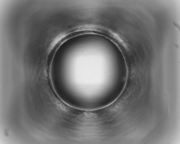 X0000099431312200805091241