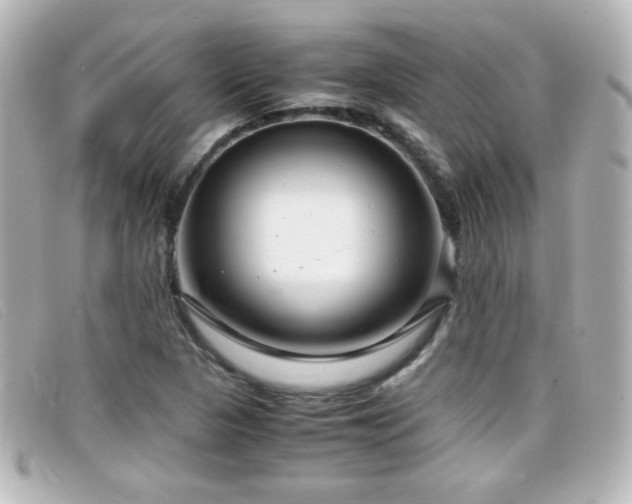 X0000099431313200805091241