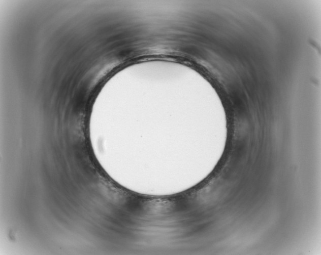 X0000099431314200805091241