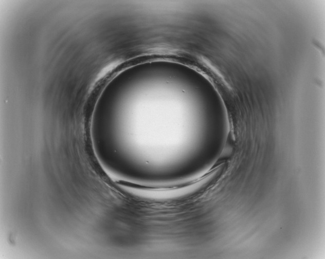 X0000099431315200805091241