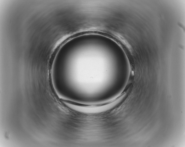 X0000099431316200805091241