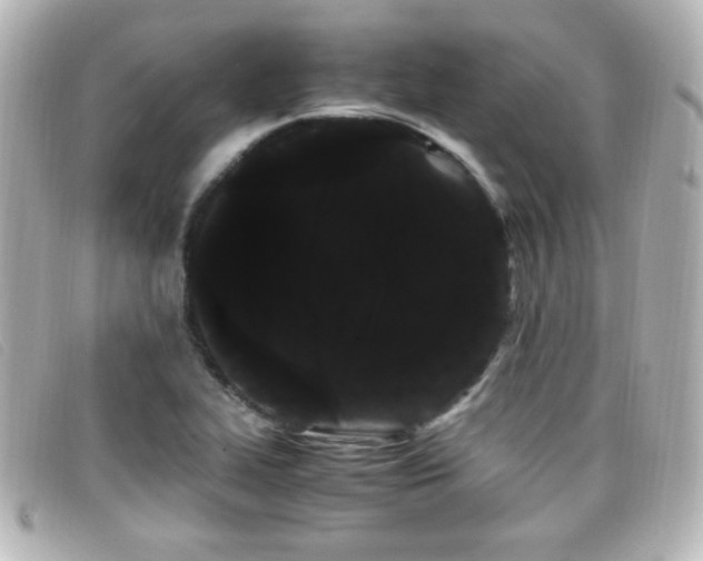 X0000099431319200805091241