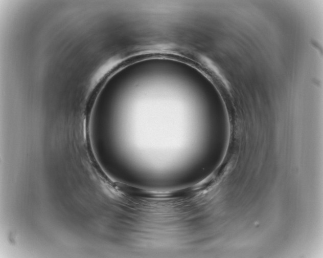 X0000099431320200805091242