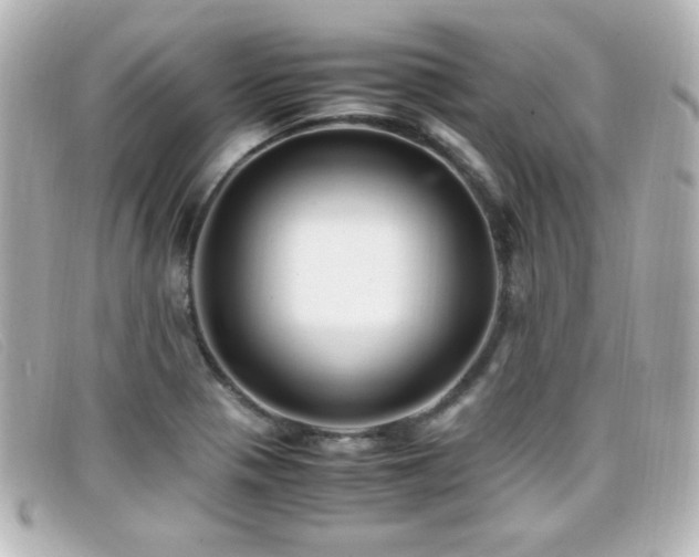 X0000099431321200805091242