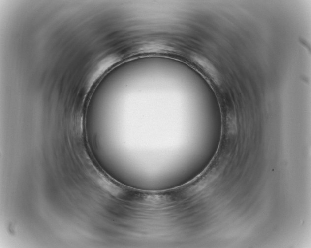 X0000099431322200805091242