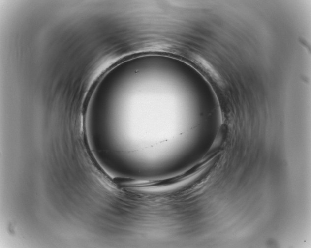 X0000099431324200805091242